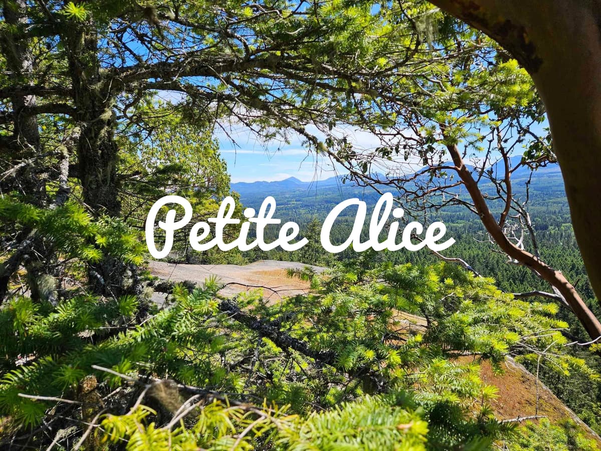 Cover photo of littlealicex