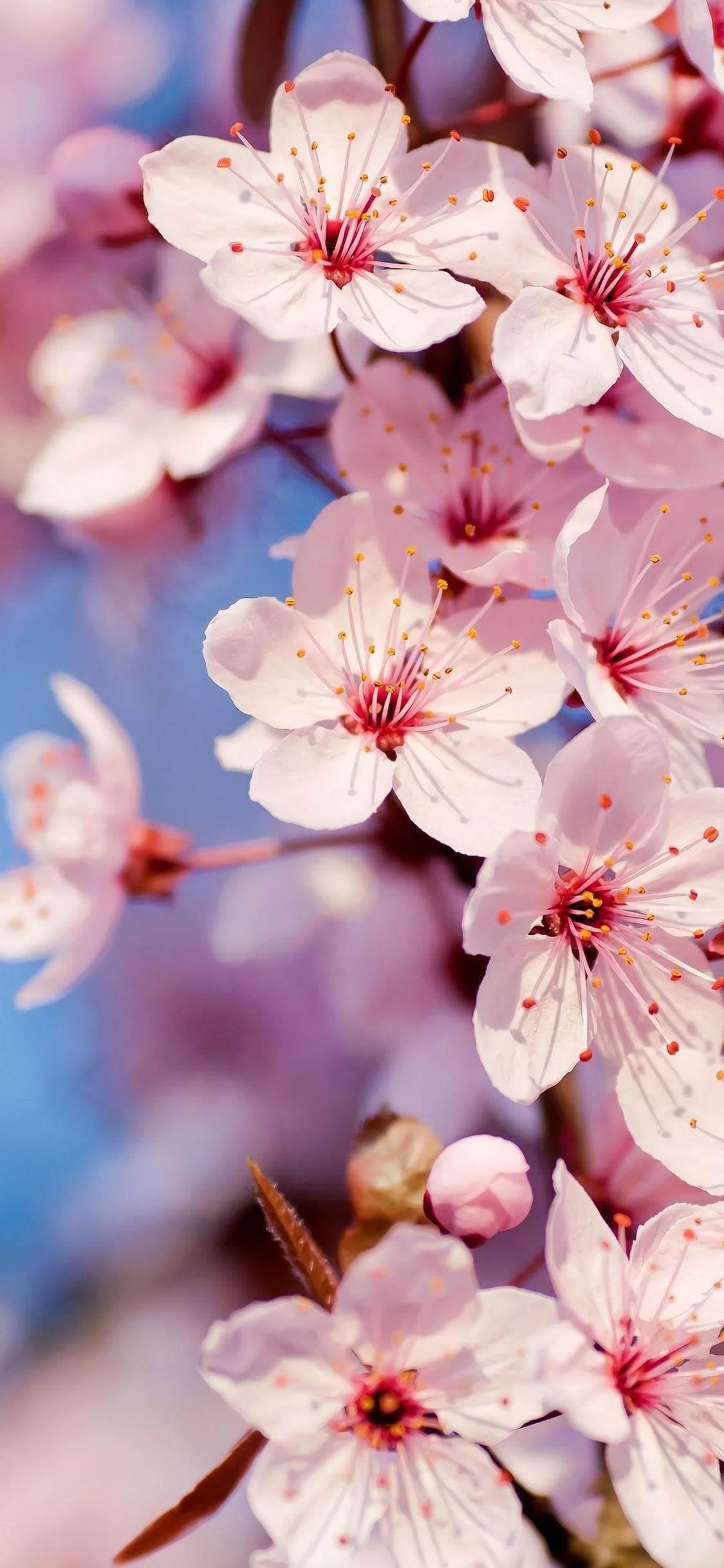 Cover photo of alicesavard